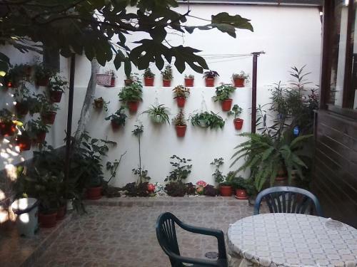 Hostal Guest Rooms Kostovi