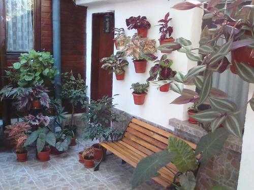 Hostal Guest Rooms Kostovi