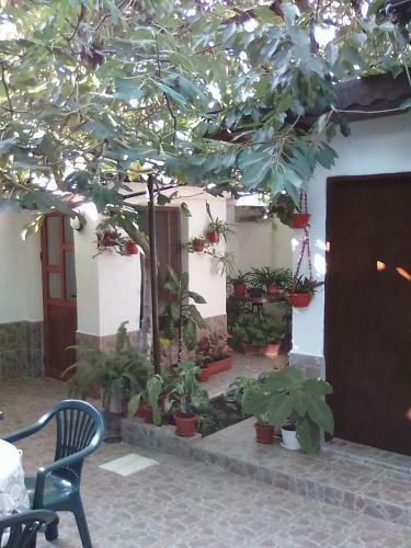 Hostal Guest Rooms Kostovi