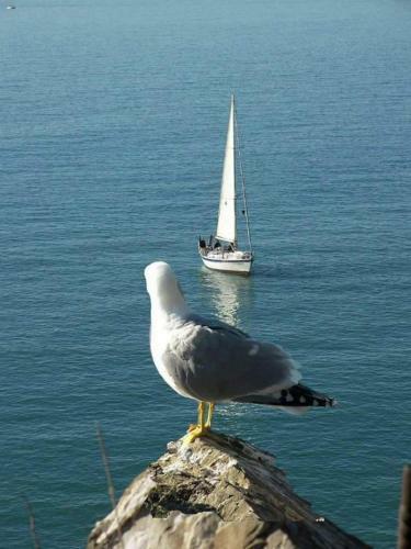 Apartamento Morski Akvareli