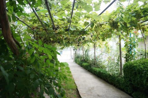 Hostal Guest House Barbov
