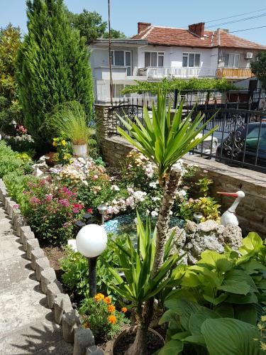 Hostal Guest House Denitsa