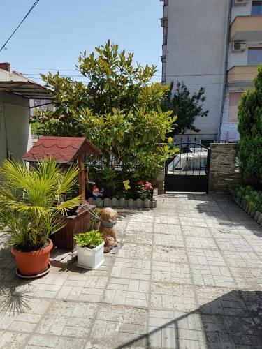 Hostal Guest House Denitsa