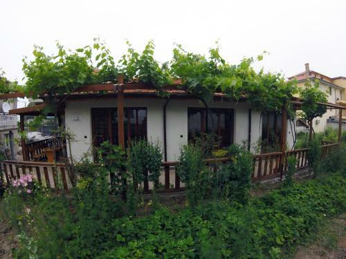 Anastasia Guest House