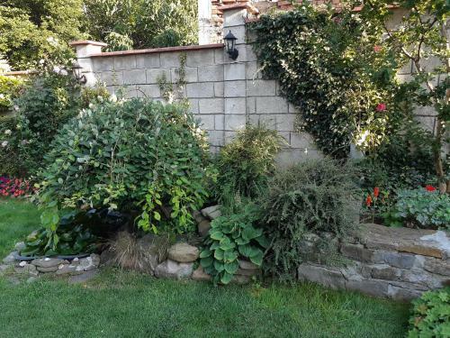 Bed & Breakfast Matevi