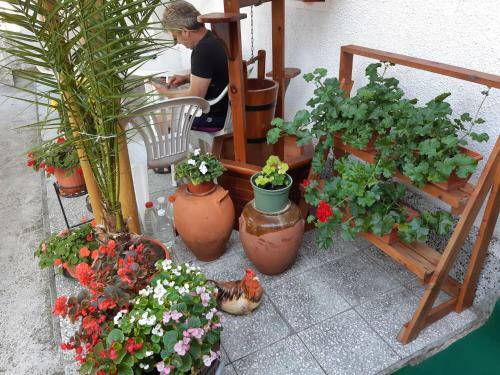 Bed & Breakfast Matevi