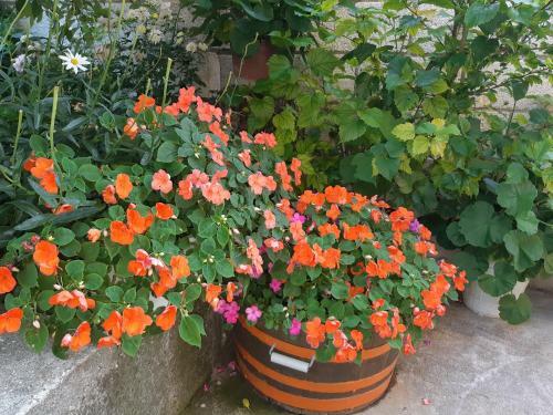 Bed & Breakfast Matevi