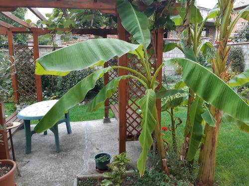 Bed & Breakfast Matevi