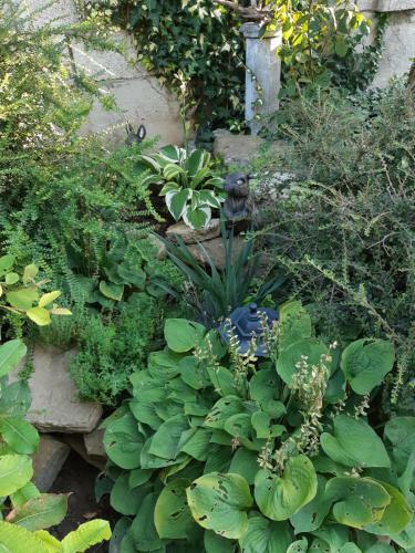 Bed & Breakfast Matevi