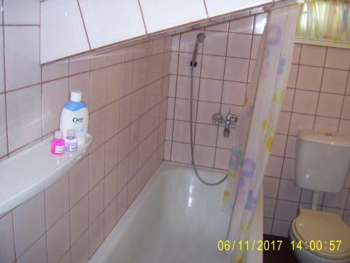 Apartamento Studio Pleven Center