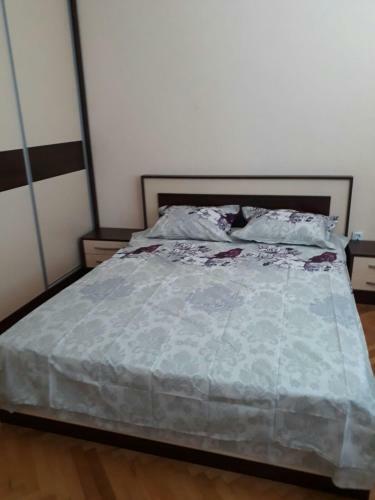 Apartment Ilievi