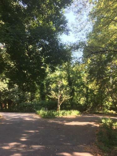 Camping Trakiya 4 Km.