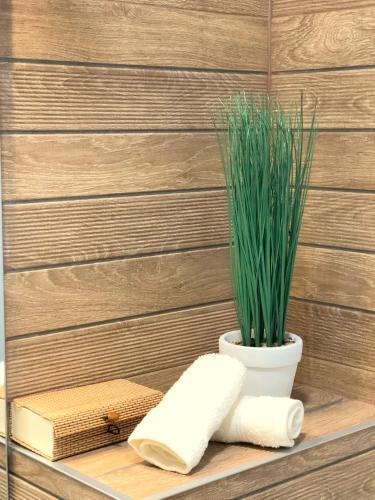 Luxury Apartments Plovdiv 3