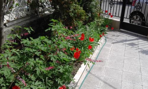 Hostal Kraybrezhna 3