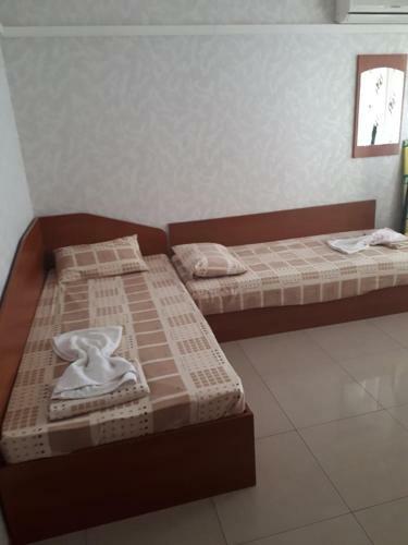 Apartment Jeleva