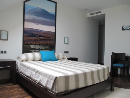 Hotel Hostal Aznaitin