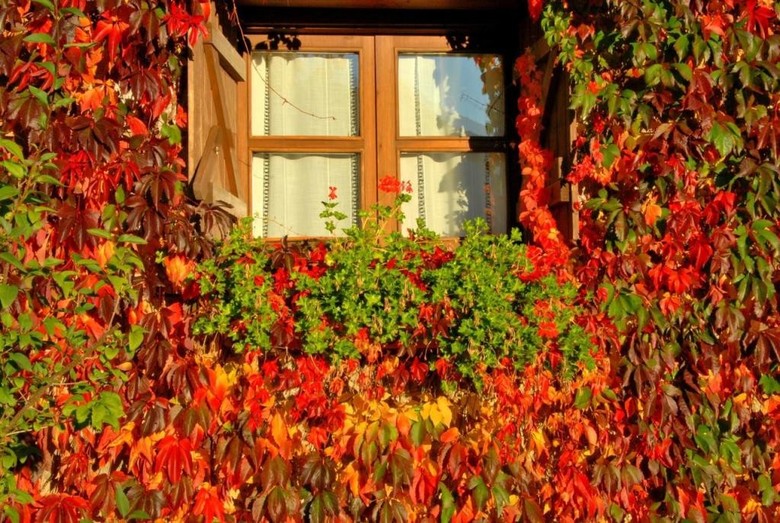Hotel Selba D'ansils