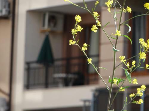 Apartamento Lora Boutique