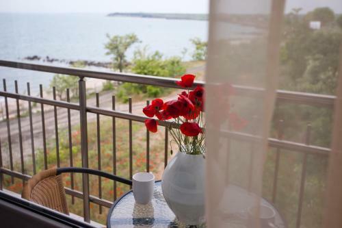 Apartamento Vilmar