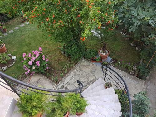 Hostal Guest House Veselina