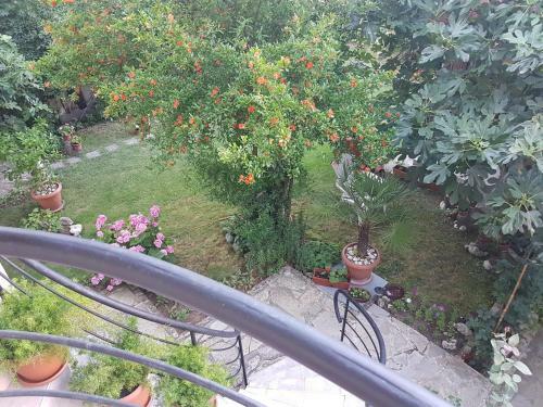 Hostal Guest House Veselina