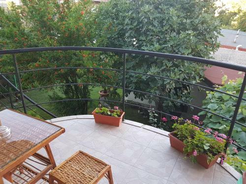 Hostal Guest House Veselina