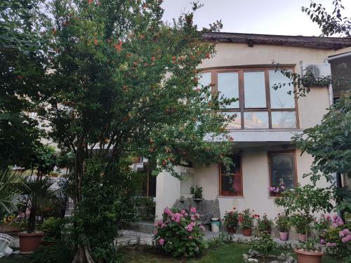 Hostal Guest House Veselina