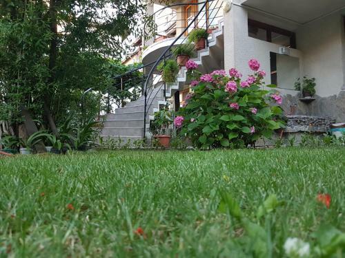 Hostal Guest House Veselina