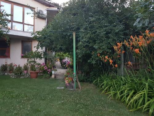 Hostal Guest House Veselina