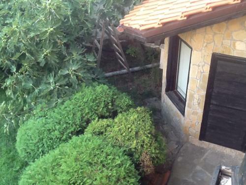Apartment Verlon
