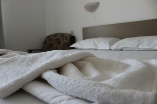 Hostal Siana House