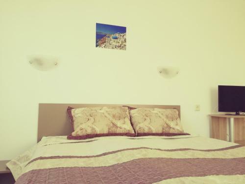 Hostal Siana House