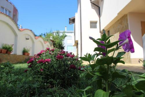 Hostal Siana House