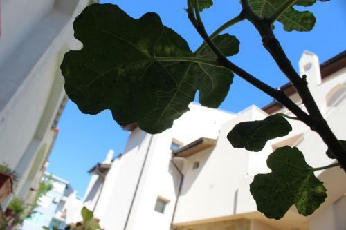 Hostal Siana House