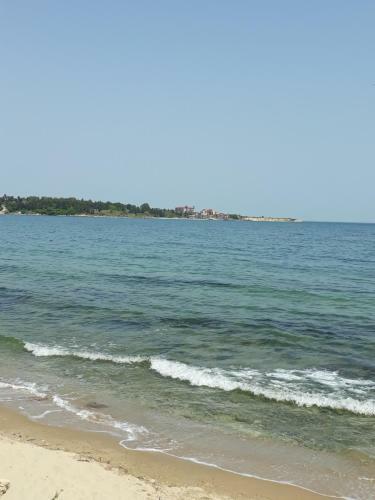 Hostal Siana House