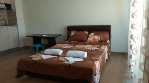 Apartamento Detelina Studio