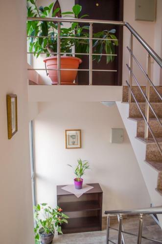 Hostal Guest House Dinevi