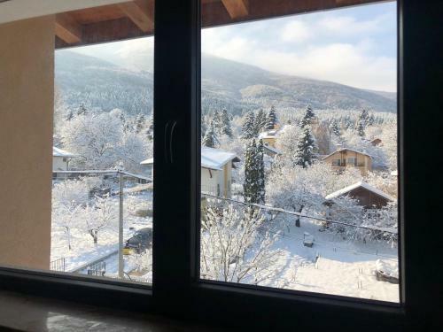 Hostal Guest House Alina