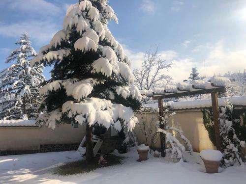 Hostal Guest House Alina