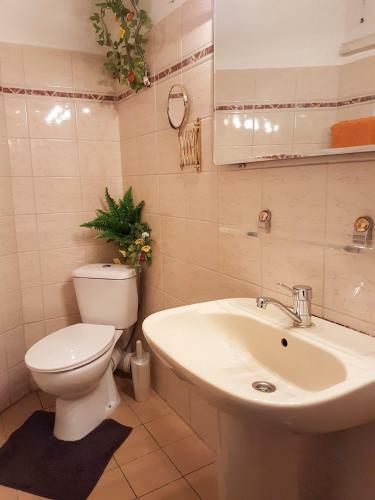Apartamento Central Dondukov