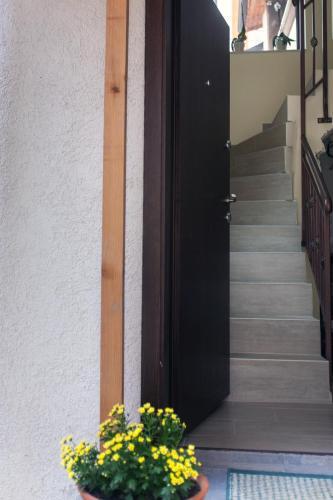 Hostal Sofia Family House