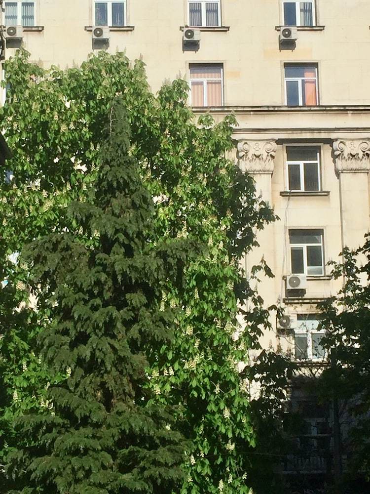 Apartments Next To Opera
