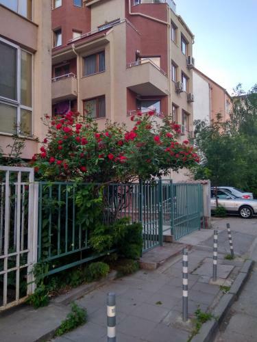 Apartamento Velinoff Purple Studio