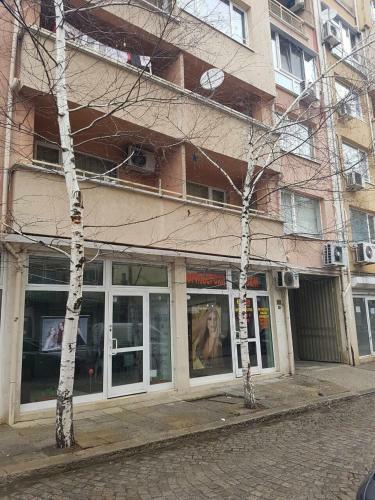 Pirotska Apartment Gn / Free Garage