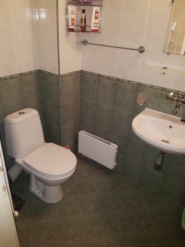 Pirotska Apartment Gn / Free Garage