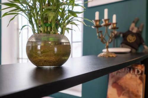 Cool Central Apartment
