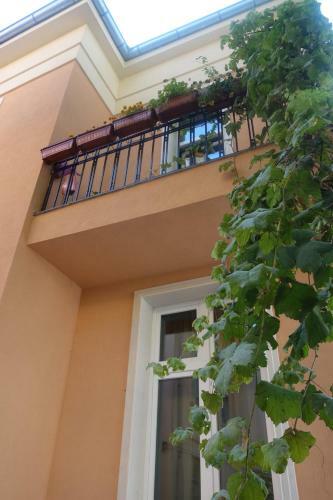 Hostal Sofia Place House