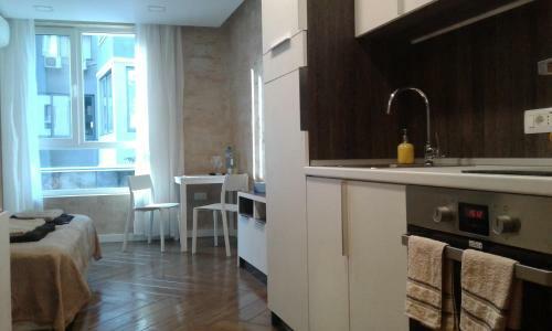 Luxury Apartment