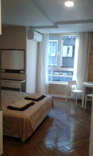 Luxury Apartment