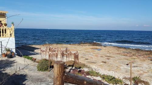 Apartamentos La Riviera - Serviden